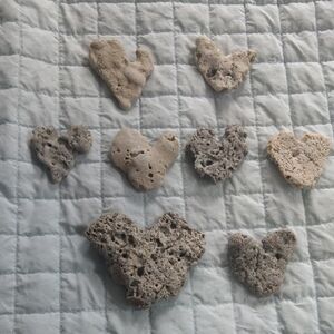 Heart-Shaped Coral Display